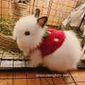 Pet Costume Cute Rabbit Clothes